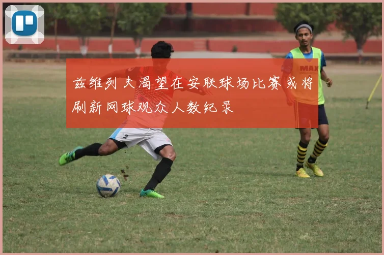 兹维列夫渴望在安联球场比赛或将刷新网球观众人数纪录